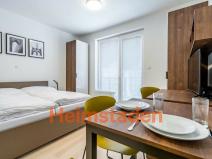 Pronájem bytu 1+kk, Plzeň - Jižní Předměstí, Magisterská, 29 m2