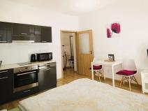 Pronájem bytu 1+kk, Brno, Vlhká, 28 m2