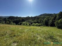 Prodej pozemku pro bydlení, Velká Lhota, 11334 m2
