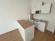 Pronájem bytu 1+kk, Praha - Vinohrady, Soběslavská, 30 m2