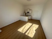 Pronájem bytu 1+kk, Praha - Vinohrady, Soběslavská, 30 m2