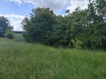 Prodej pozemku pro bydlení, Měrotín, 3254 m2