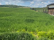 Prodej pozemku pro bydlení, Stařeč, Polní, 1281 m2