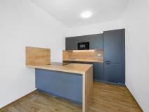 Pronájem bytu 1+kk, Plzeň - Severní Předměstí, Bolevecká, 40 m2