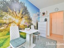 Pronájem bytu 1+1, Koryčany, Zámecká, 50 m2