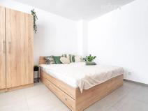 Pronájem bytu 1+kk, Brno, Minská, 21 m2
