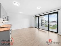 Pronájem bytu 1+kk, Plzeň - Jižní Předměstí, Železná, 36 m2