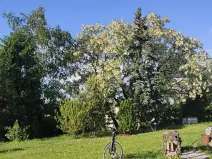 Prodej pozemku pro bydlení, Benátky nad Jizerou, 1520 m2