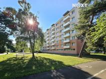 Pronájem bytu 1+kk, Pardubice, Kosmonautů, 38 m2