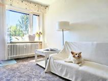 Prodej bytu 2+1, Brno, Kunštátská, 58 m2