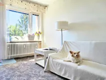 Prodej bytu 2+1, Brno, Kunštátská, 58 m2