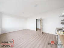 Pronájem bytu 1+kk, Mlékojedy, 47 m2