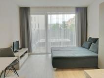 Pronájem bytu 1+kk, Plzeň, Na Chmelnicích, 38 m2