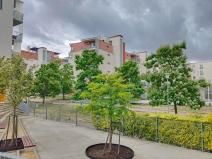 Pronájem bytu 1+kk, Plzeň, Na Chmelnicích, 38 m2