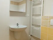Pronájem bytu 1+kk, Plzeň, Na Chmelnicích, 38 m2