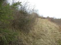 Dražba louky, Hradec nad Svitavou, 683 m2