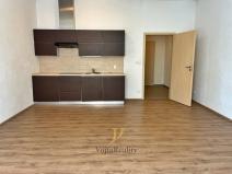 Pronájem bytu 1+kk, Olomouc, Skupova, 40 m2