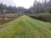 Pronájem rybníku, Brtnice, 6364 m2