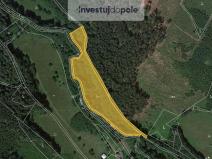 Prodej louky, Brzice - Žďár, 4230 m2