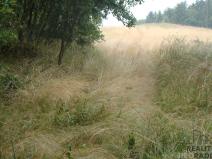 Prodej zahrady, Krušovice, 2000 m2