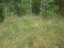 Prodej zahrady, Krušovice, 2000 m2