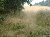 Prodej zahrady, Krušovice, 2000 m2