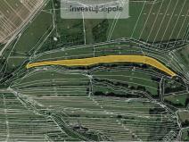Prodej louky, Velká nad Veličkou, 1144 m2