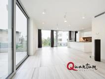 Pronájem bytu 1+kk, Praha - Braník, Na usedlosti, 100 m2