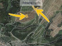 Prodej louky, Radnice, 5786 m2