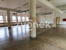 Pronájem obchodního prostoru, Bílovice, 212 m2