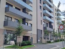 Pronájem bytu 1+kk, Praha - Žižkov, U Viktorie, 49 m2