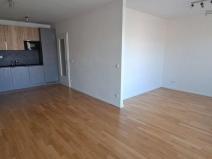 Pronájem bytu 1+kk, Praha - Žižkov, U Viktorie, 49 m2