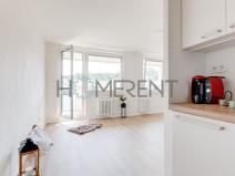 Pronájem bytu 1+kk, Praha - Žižkov, Rokycanova, 38 m2