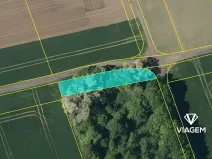 Prodej lesa, Měrovice nad Hanou, 482 m2