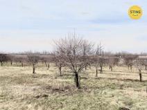 Prodej sadu/vinice, Lužice, 3829 m2