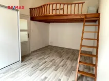 Pronájem bytu 1+1, Praha - Žižkov, Hartigova, 51 m2