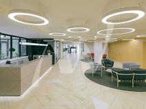Pronájem kanceláře, Praha - Karlín, Sokolovská, 342 m2