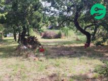 Prodej zahrady, Miroslav, Husova, 632 m2
