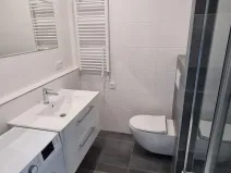Pronájem bytu 1+1, Ostrava - Moravská Ostrava, Gen. Píky, 45 m2
