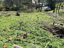 Prodej pozemku pro bydlení, Dolní Moravice - Nová Ves, 626 m2