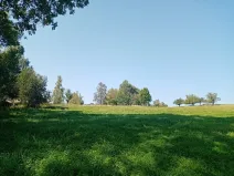 Dražba louky, Kunratice, 12882 m2