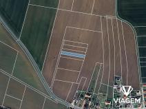 Prodej pole, Dvory, 967 m2