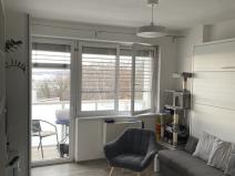 Pronájem bytu 1+kk, Brno, Langrova, 24 m2