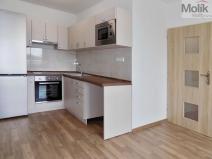 Prodej bytu 2+kk, Teplice - Trnovany, Trnovanská, 47 m2