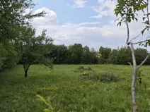 Prodej pozemku pro bydlení, Dymokury, 1000 m2