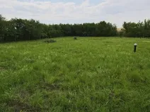 Prodej pozemku pro bydlení, Dymokury, 1000 m2