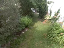 Pronájem bytu 2+1, Synalov, 60 m2