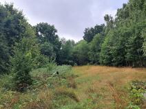 Pronájem zahrady, Krušovice, 2000 m2