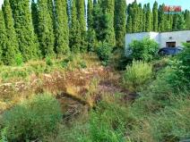Prodej výrobních prostor, Nové Město pod Smrkem - Hajniště, 449 m2