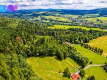 Prodej lesa, Písek, 12430 m2